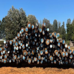12m poles