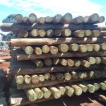 Fencing posts