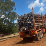 Transport and logistics